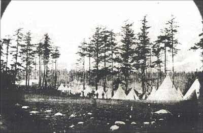 Pig War American Camp